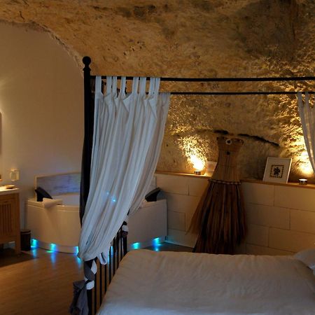 أمبُواز Chambres D'Hotes Troglodytes Le Clos De L'Hermitage المظهر الخارجي الصورة