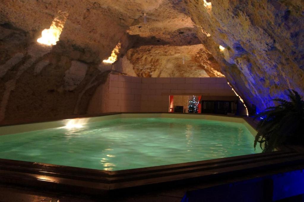 أمبُواز Chambres D'Hotes Troglodytes Le Clos De L'Hermitage الغرفة الصورة